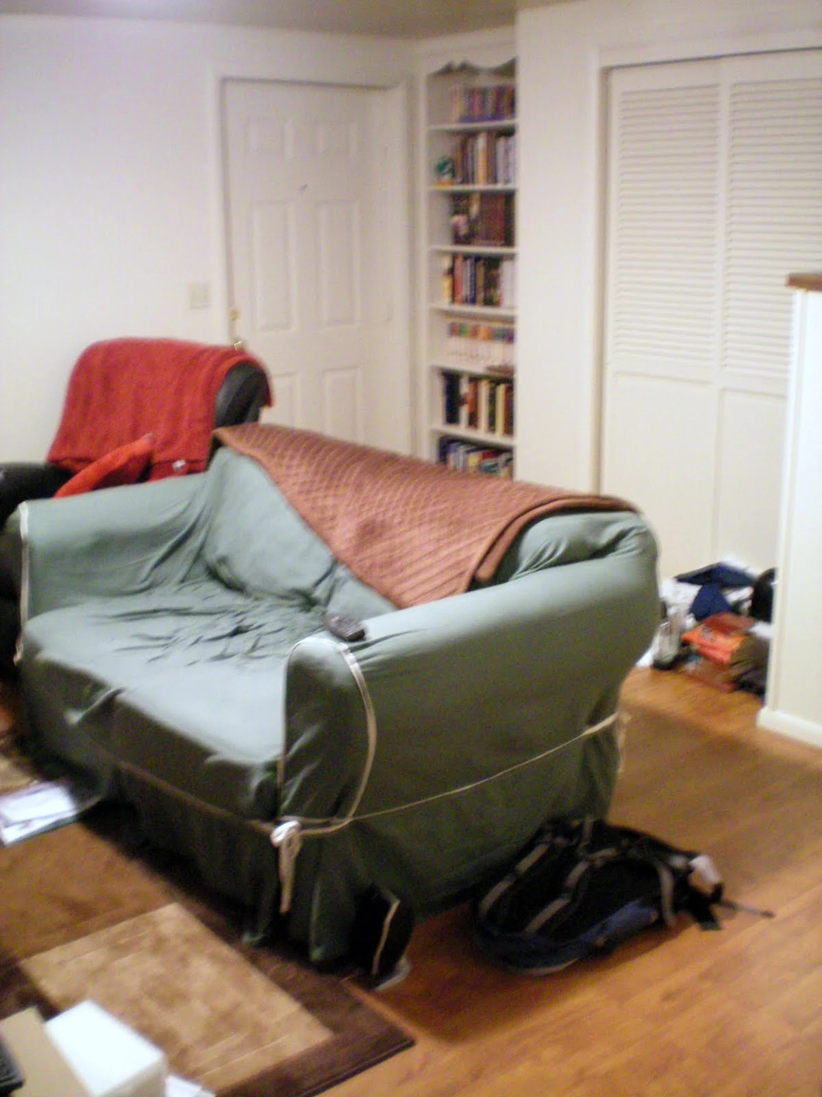 Living room showing the green couch draped with a red throw blanket, a bookshelf of books in the background corner, and hardwood floors with a small rug