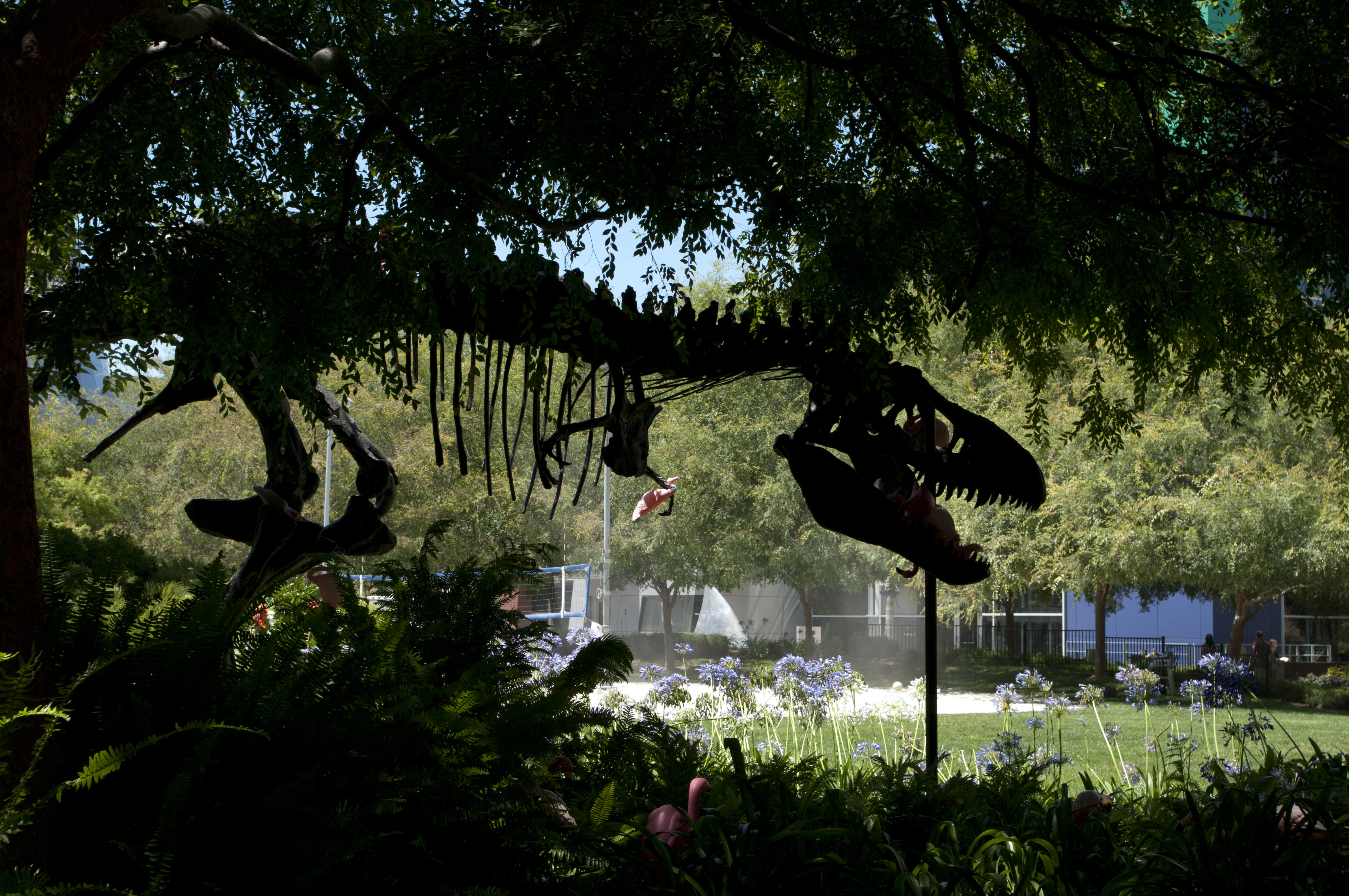 Stan the T-Rex dinosaur skeleton statue at Google silhouetted against bright sky and leafy trees, with a garden bed of purple flowers in the foreground