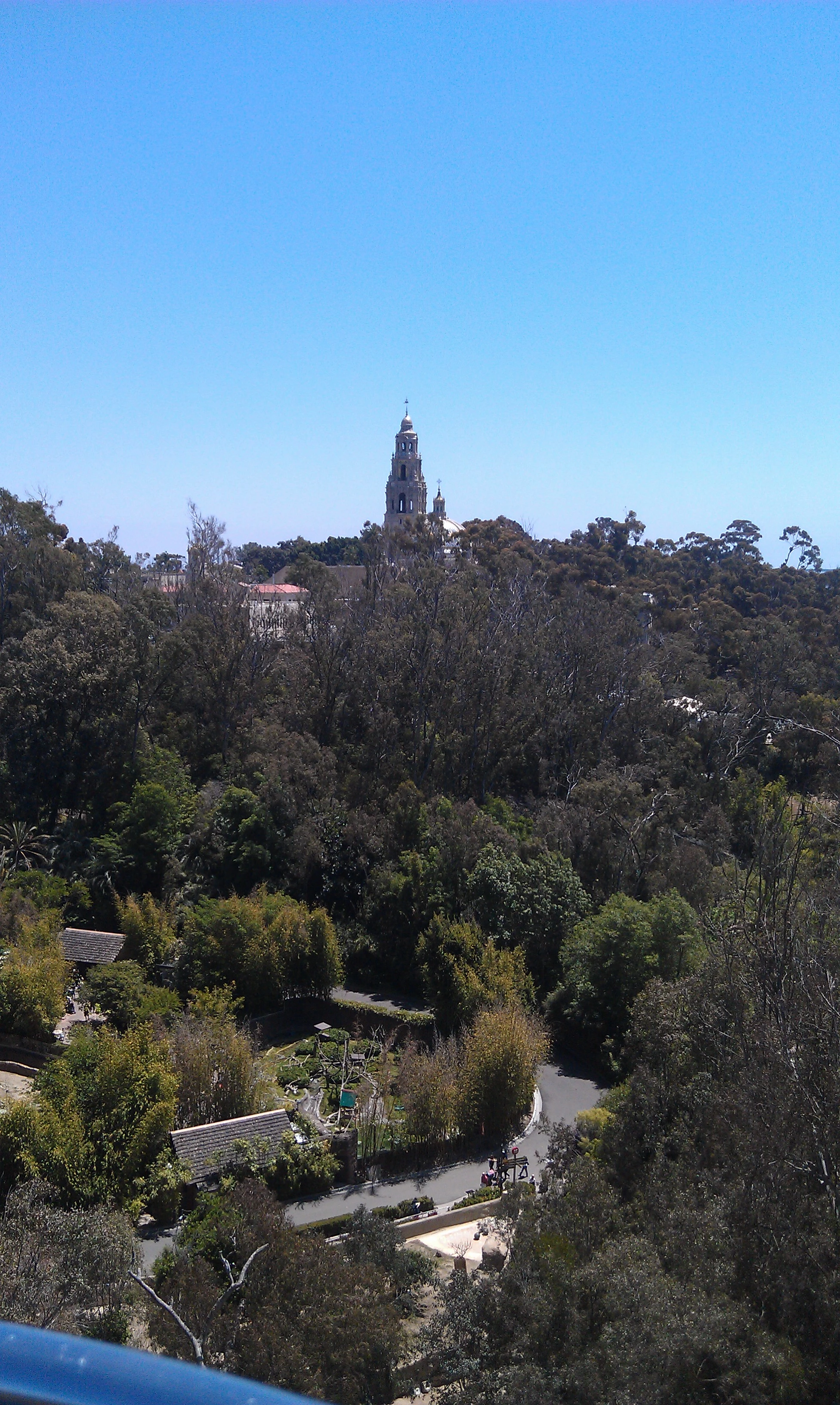 Aerial view from the Skyfari tram looking out over lush green Balboa Park, with the ornate California Tower rising above the treetops against a clear blue sky