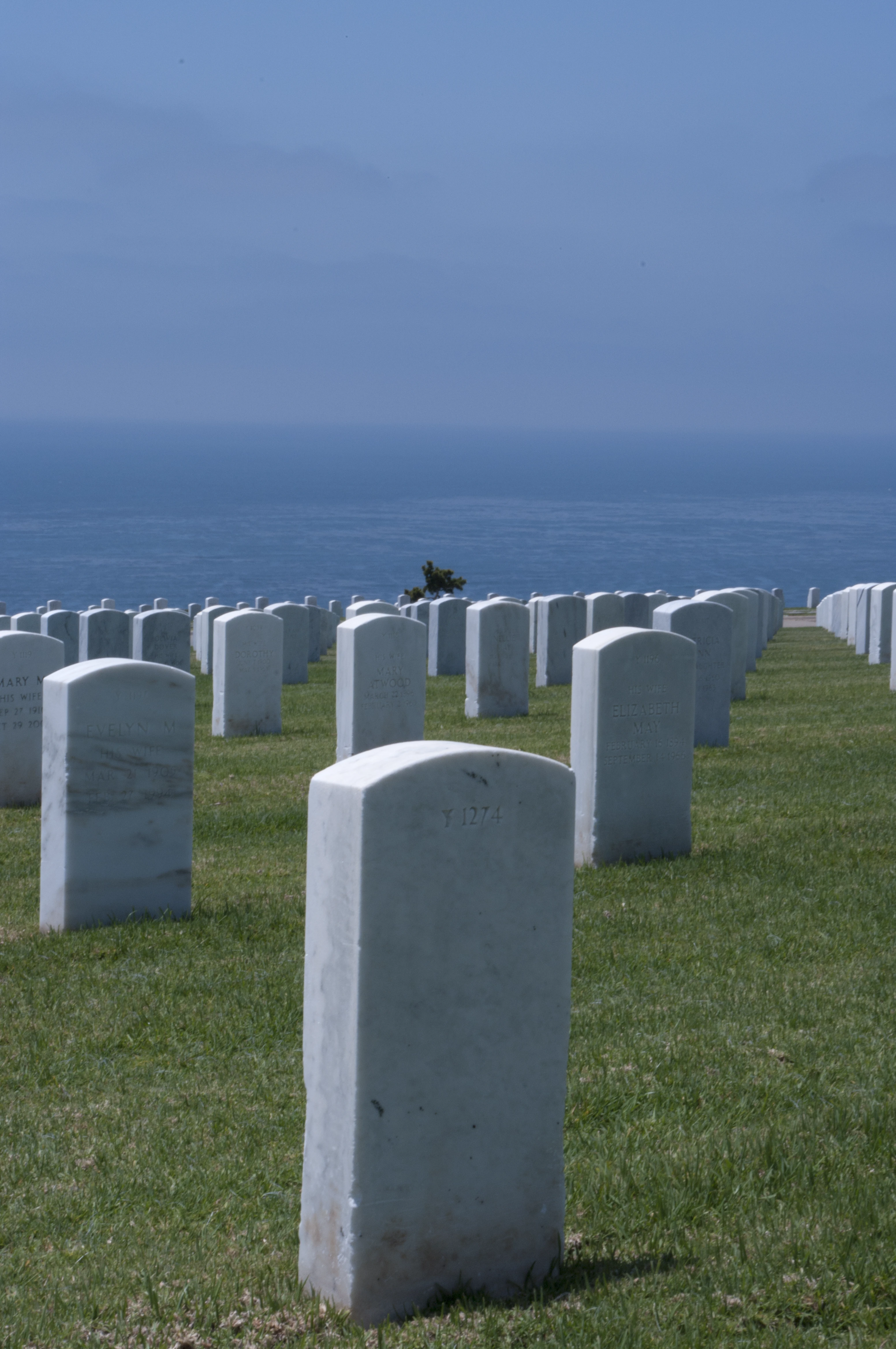 Military headstones on a green lawn with the Pacific Ocean stretching to the horizon behind them, a small bird perched on one of the distant markers